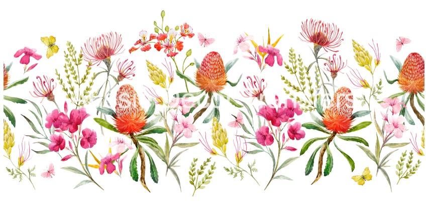 Australian Wildflowers I - Aussie Dry Rub Transfer