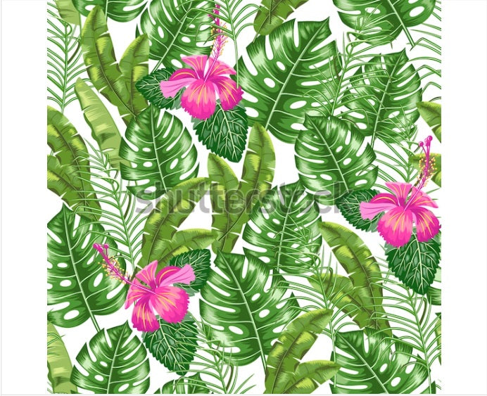 Flamingos II - Aussie Dry Rub Transfer