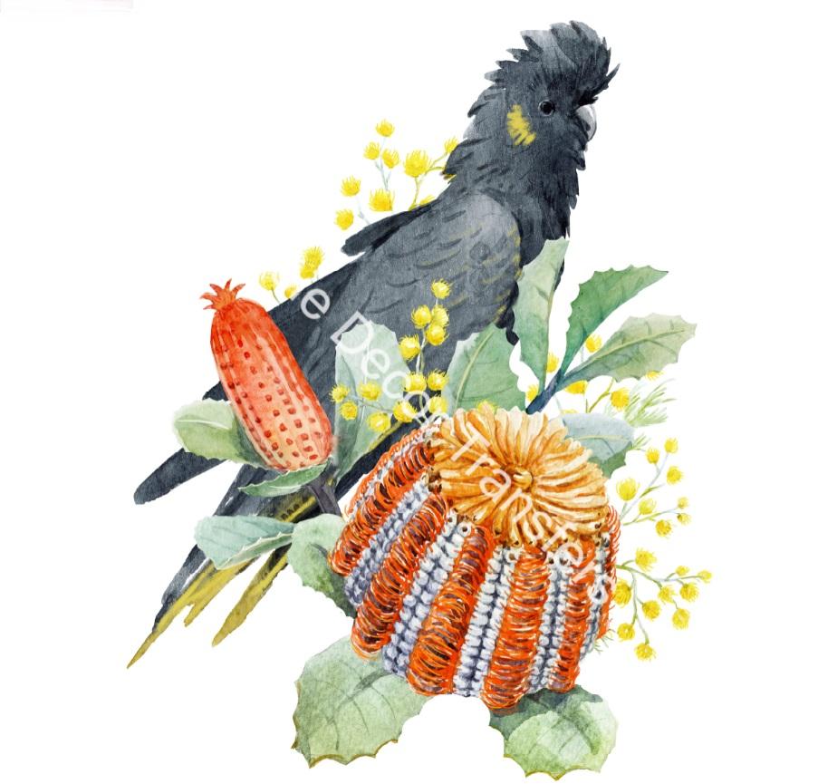 Australian Wildflowers I - Aussie Dry Rub Transfer