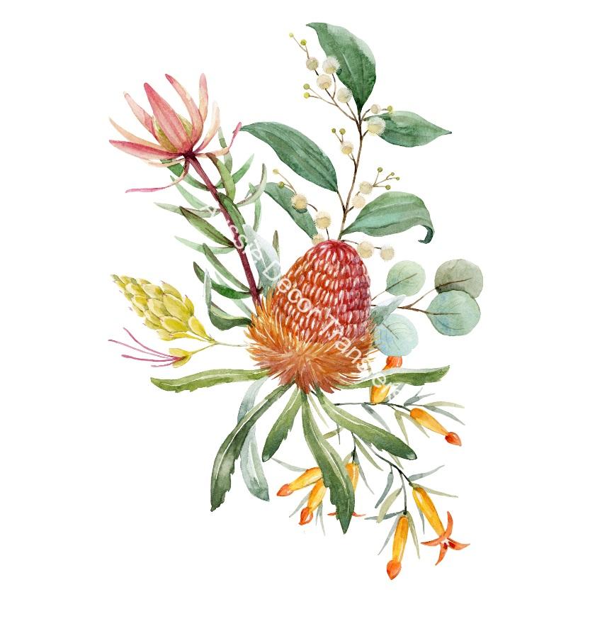 Australian Wildflowers I - Aussie Dry Rub Transfer