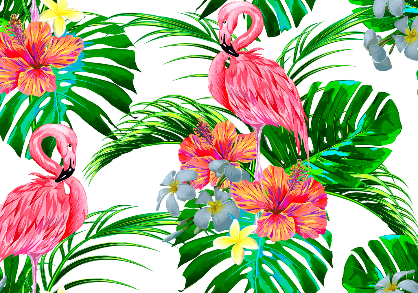 Flamingos II - Aussie Dry Rub Transfer