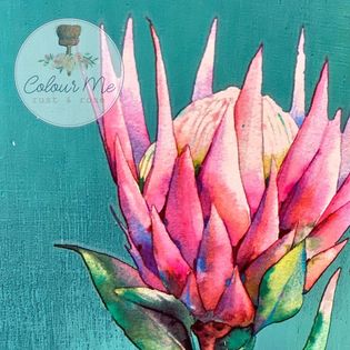 Australian Wildflowers II - Proteas - Aussie Dry Rub Transfer