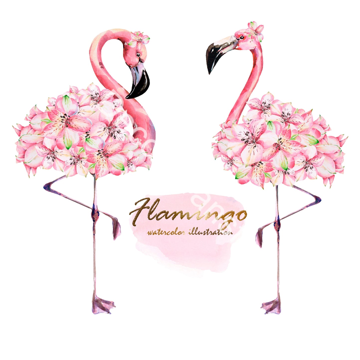 Flamingos II - Aussie Dry Rub Transfer
